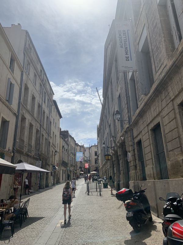 Vente Immobilier Professionnel Murs commerciaux Montpellier 34000